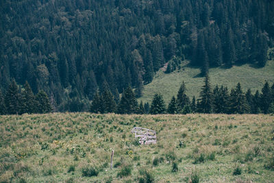 Scenic view of landscape