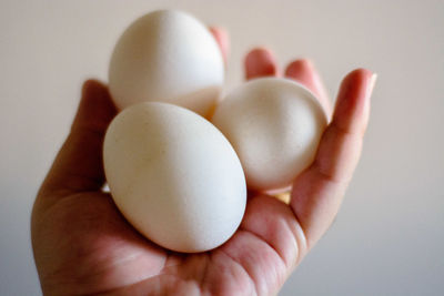 Close-up of hand holding chocolate over white background