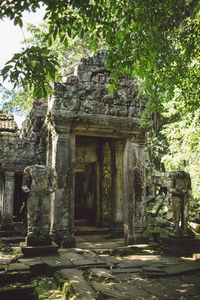 Old temple in forest