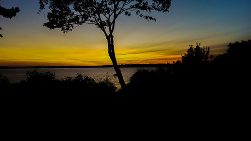 Silhouette trees on landscape against sunset sky