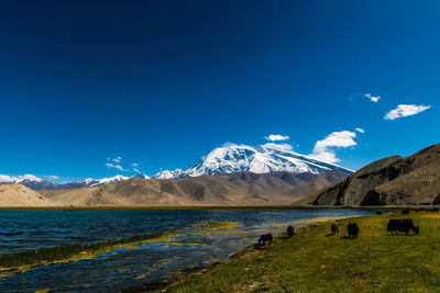 Scenic view of snowcapped mountains against blue sky
