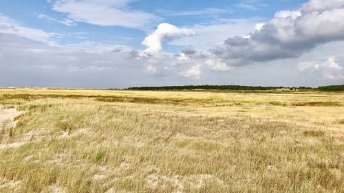 View of fields against cloudy sky