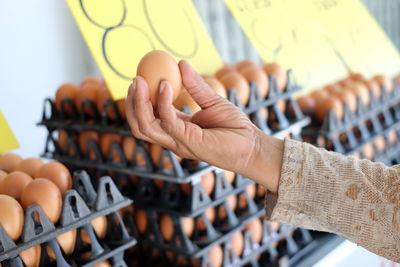Cropped hand of woman holding egg