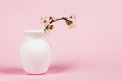 Close-up of pink rose in vase