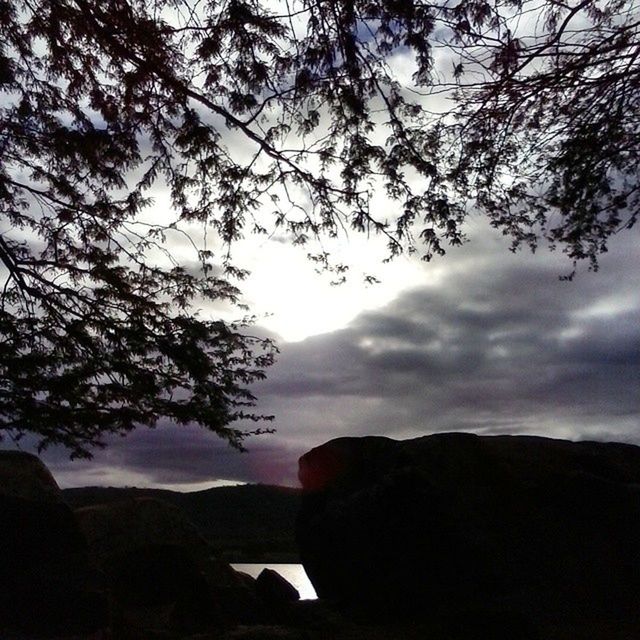 tree, sky, silhouette, tranquility, tranquil scene, scenics, cloud - sky, beauty in nature, branch, nature, mountain, cloudy, low angle view, bare tree, cloud, dusk, landscape, idyllic, outdoors, no people