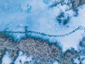 Panoramic aerial view of a frozen lake with animal footprints. animal tracks on the frozen surface 