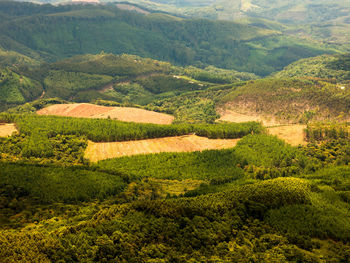 Scenic view of rural landscape