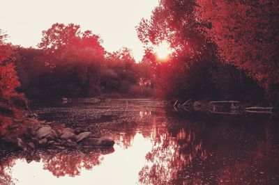 Reflection of trees in lake against sky