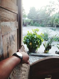 Midsection of person by potted plants against window