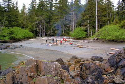 People on rocks by river in forest