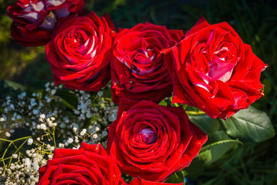 Close-up of red rose bouquet