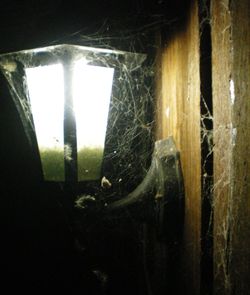 Close-up of spider web on window