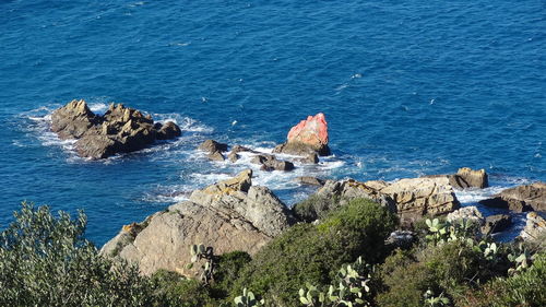 High angle view of rocks on beach