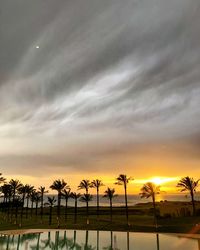 Silhouette palm trees against sky during sunset