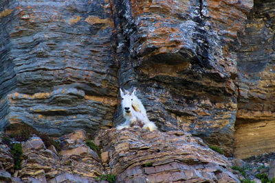 Low angle view of rock formation