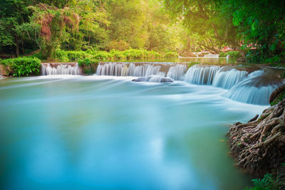 Scenic view of waterfall in forest