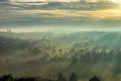 Panoramic shot of trees on landscape against sky during sunset