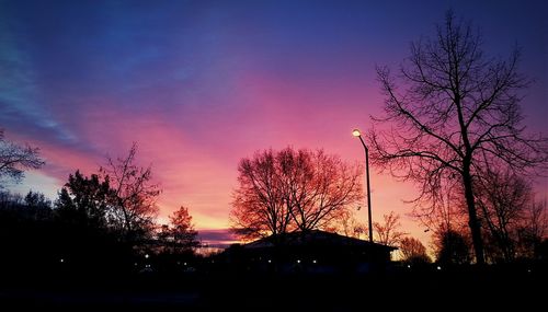 Silhouette of bare trees at sunset