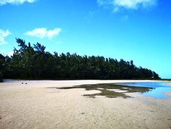 Scenic view of beach against blue sky