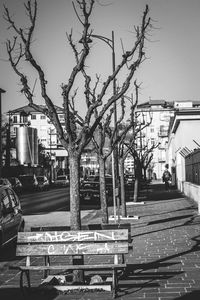 Bare tree in city against clear sky