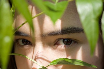 Close-up portrait of woman seen through plant