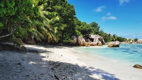 Ls digue island beach in seychelles