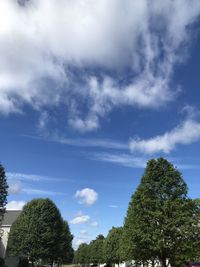 Low angle view of trees against sky