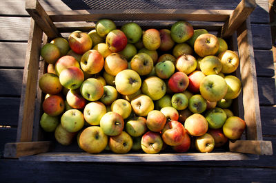 Close-up of apples for sale in container
