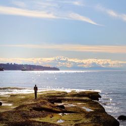 Rear view of man standing at beach against sky
