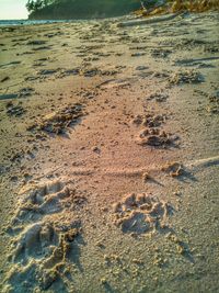 High angle view of footprints on beach