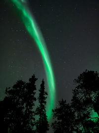 Low angle view of trees against sky at night