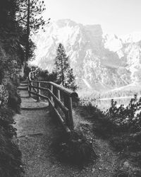Footbridge amidst trees against sky