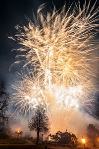 Low angle view of fireworks against sky at night