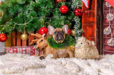 Close-up of christmas decorations