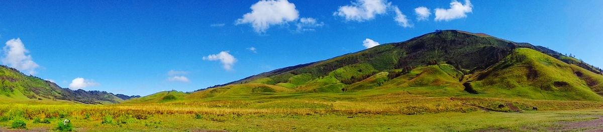 Panoramic view of green landscape