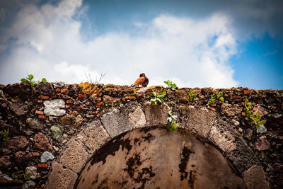 Low angle view of man sitting on rock against sky