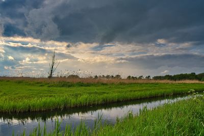 Scenic view of field against cloudy sky