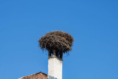 Low angle view of nest against clear blue sky