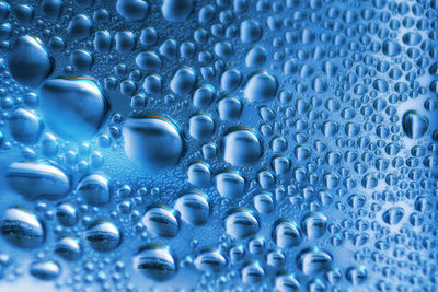 bubble