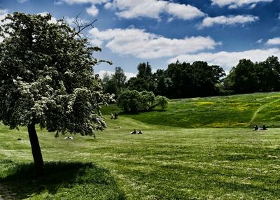 Scenic view of grassy field against cloudy sky