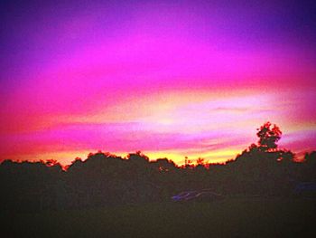 Silhouette of trees at sunset