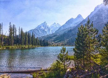 Scenic view of lake