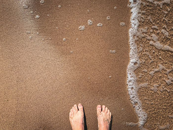 Low section of person standing on beach