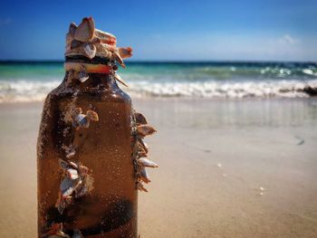 Close-up of bottle on shore at beach during sunny day