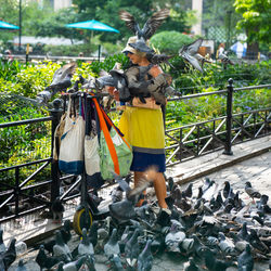 Rear view of people standing outdoors