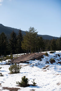 Scenic view of snow covered land against clear sky