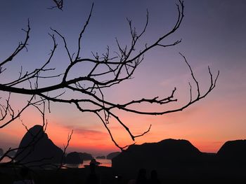 Silhouette bare tree against sky during sunset