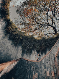 High angle view of people on tree