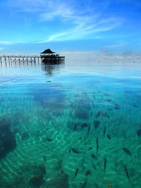 Scenic view of seascape against blue sky