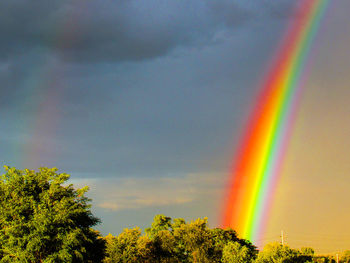 Low angle view of rainbow over trees against sky